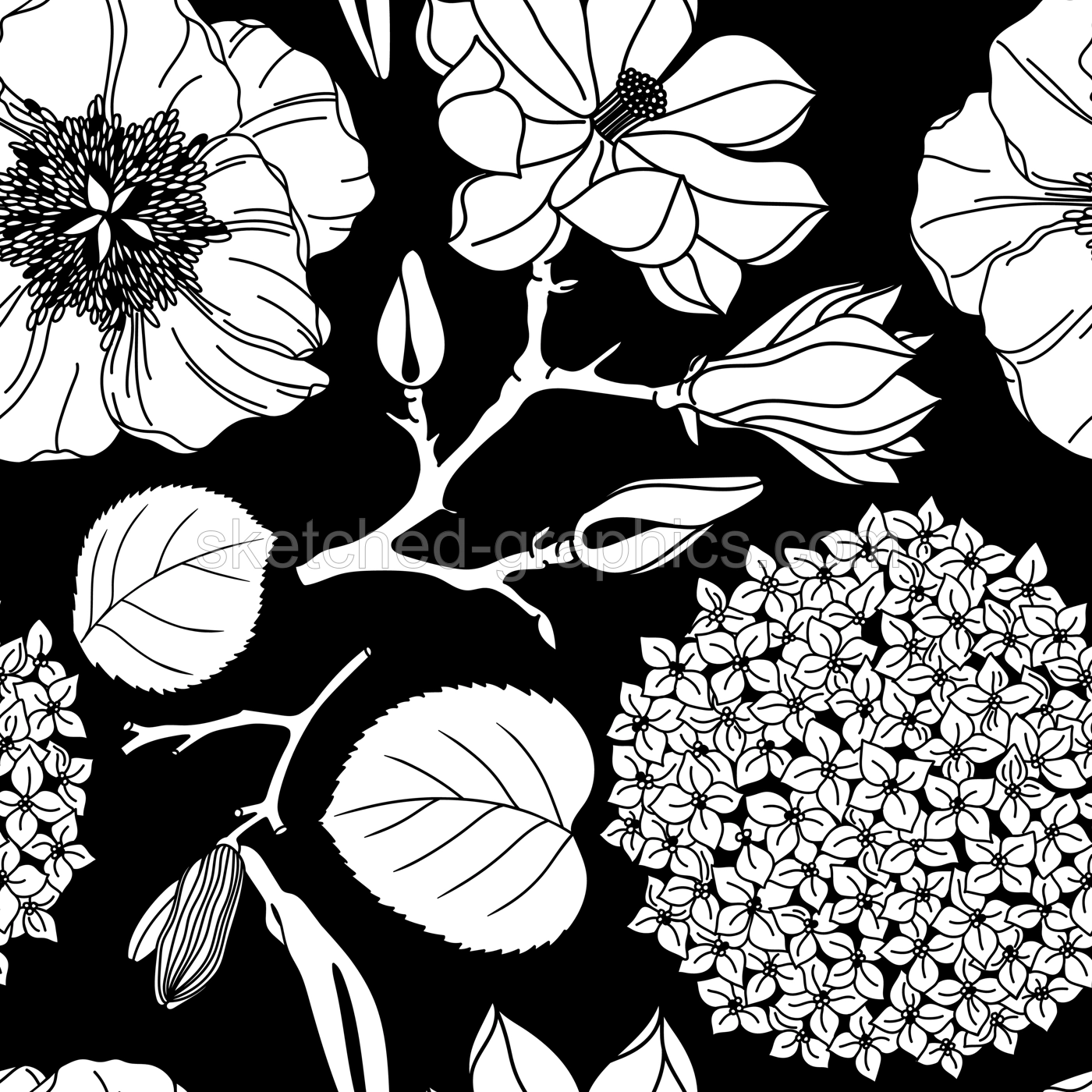 Vector seamless pattern with white flowers on black background. Botanical design for packaging, wrapping paper, wallpaper, fabric, fashion. Garden peony, poppy, lily, magnolia silhouettes backdrop Illustration